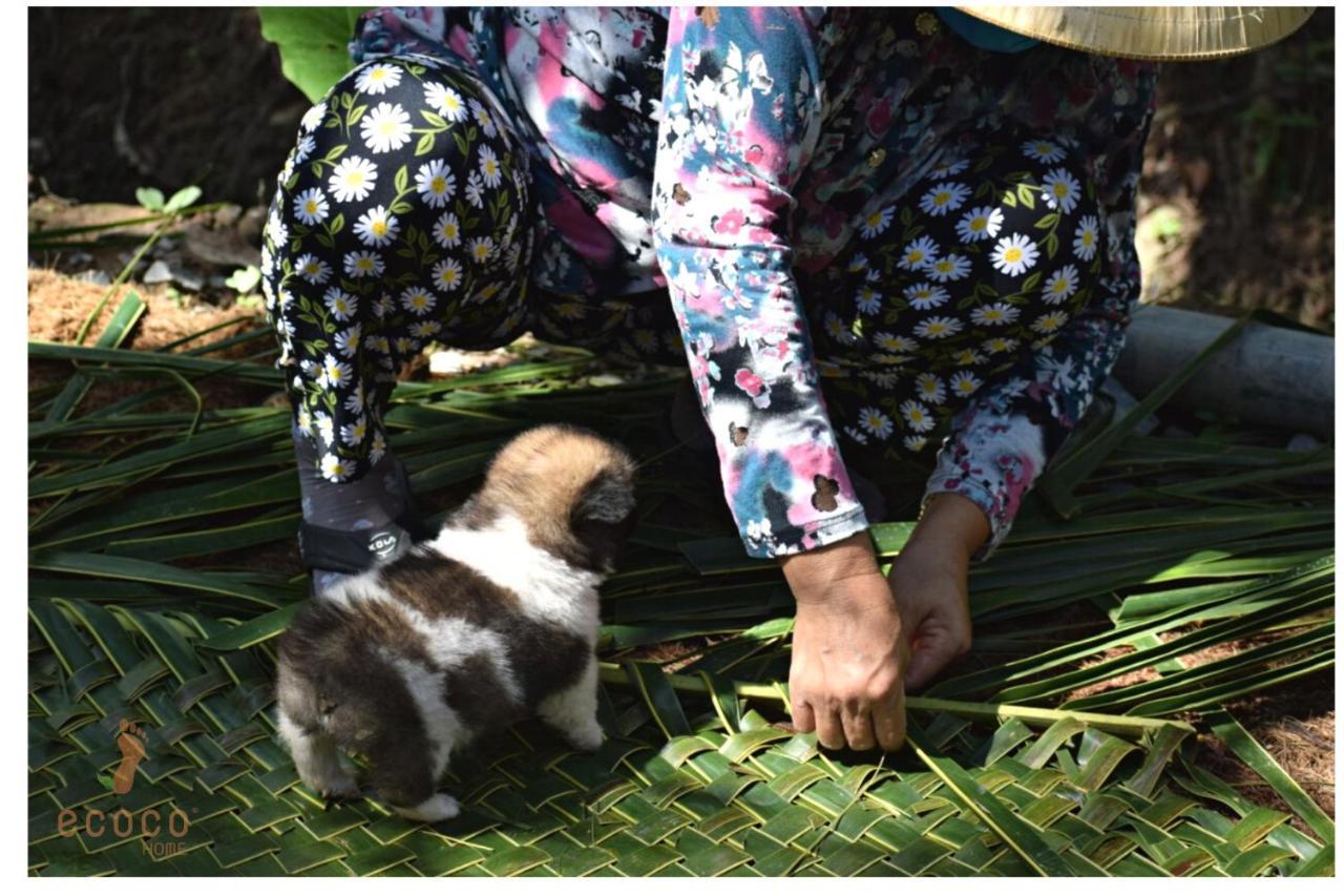 Ecoco Homestay Mekong Ben Tre Exteriér fotografie